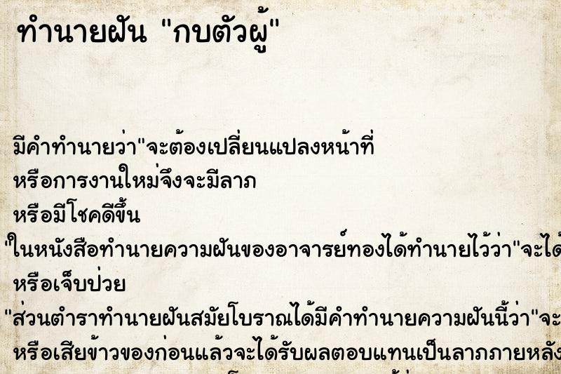 ทำนายฝัน กบตัวผู้แม่นๆ ฟรี ด้วยตำราหนังสือทำนายฝันโบราณ ทำนายฝันกบตัวผู้