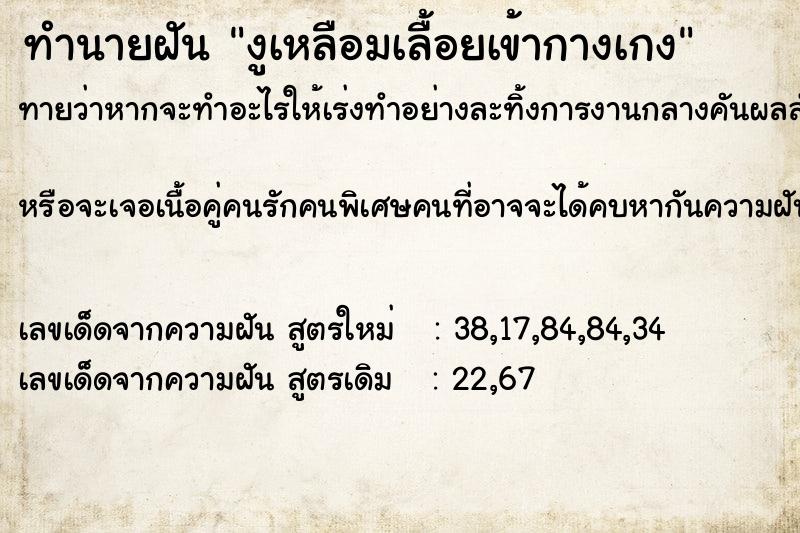 ทำนายฝันงูเหลือมเลื้อยเข้ากางเกง ทำนายฝันทำนายฝันงูเหลือมเลื้อยเข้ากางเกง