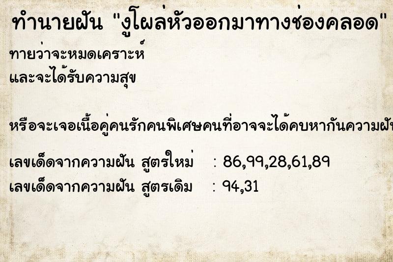 ทำนายฝันงูโผล่หัวออกมาทางช่องคลอด ทำนายฝันทำนายฝันงูโผล่หัวออกมาทางช่องคลอด