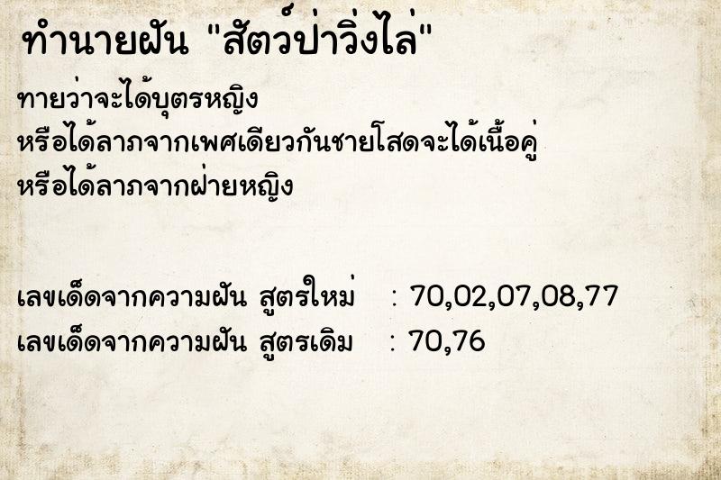 ทำนายฝันสัตว์ป่าวิ่งไล่ ทำนายฝันทำนายฝันสัตว์ป่าวิ่งไล่