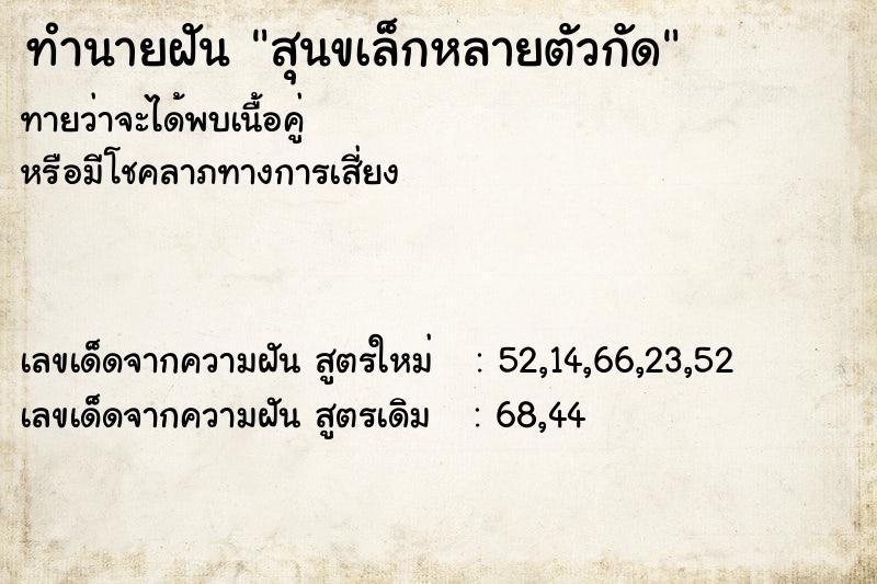 ทำนายฝัน สุนขเล็กหลายตัวกัด ทำนายฝัน สุนขเล็กหลายตัวกัด