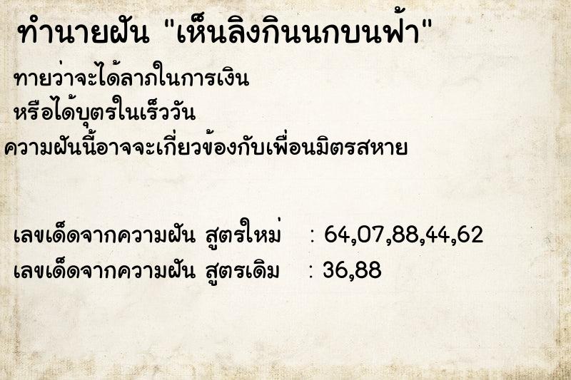 ทำนายฝันเห็นลิงกินนกบนฟ้า ทำนายฝันทำนายฝันเห็นลิงกินนกบนฟ้า