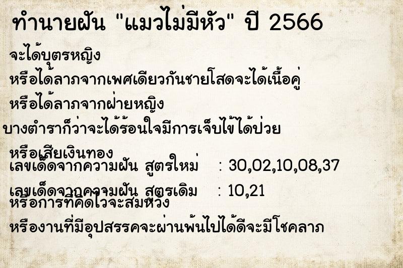 ทำนายฝันทำนายฝันแมวไม่มีหัว