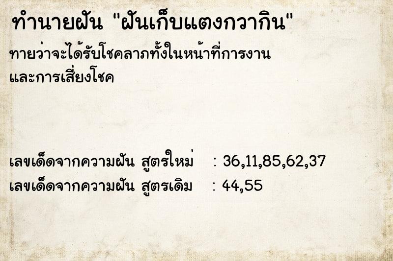 ทำนายฝันฝันเก็บแตงกวากิน ทำนายฝันทำนายฝันฝันเก็บแตงกวากิน