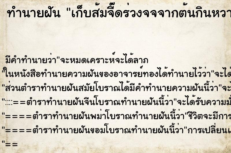 ทำนายฝันเก็บส้มจี๊ดร่วงจจจากต้นกินหวาน ทำนายฝันทำนายฝันเก็บส้มจี๊ดร่วงจจจากต้นกินหวาน