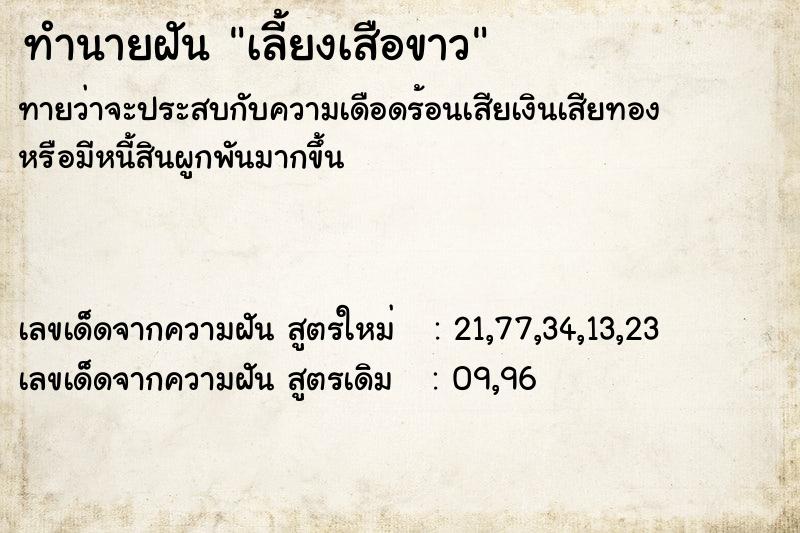 ทำนายฝัน เลี้ยงเสือขาว ตำราโบราณ แม่นที่สุดในโลก