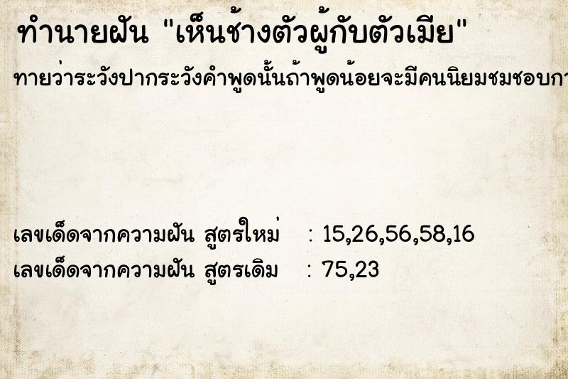 ทำนายฝันเห็นช้างตัวผู้กับตัวเมีย ทำนายฝันทำนายฝันเห็นช้างตัวผู้กับตัวเมีย