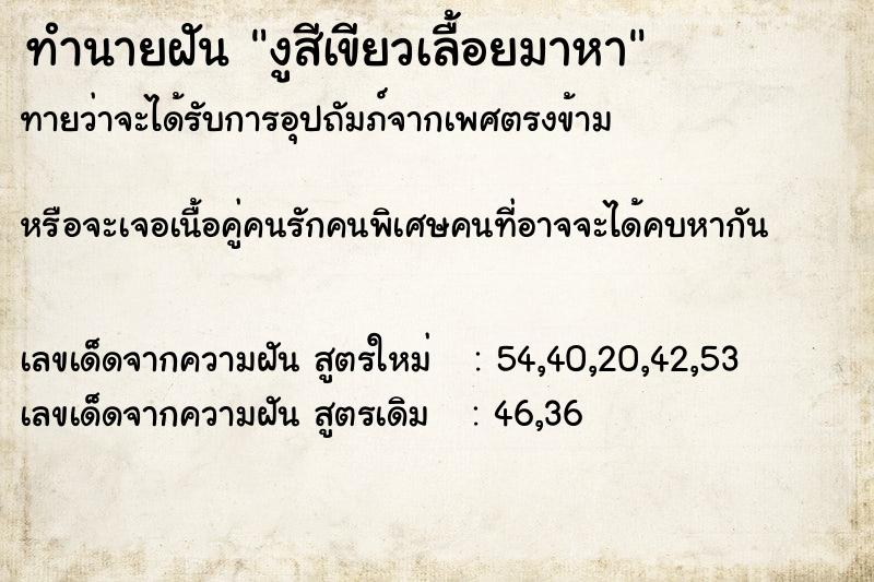 ทำนายฝันงูสีเขียวเลื้อยมาหา ทำนายฝันทำนายฝันงูสีเขียวเลื้อยมาหา