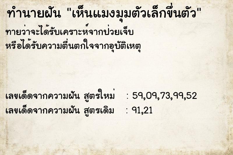 ทำนายฝันทำนายฝันเห็นแมงมุมตัวเล็กขึ่นตัว