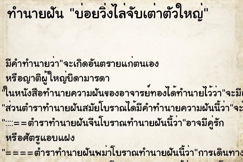 ทำนายฝันทำนายฝันบ่อยวิ่งไล่จับเต่าตัวใหญ่