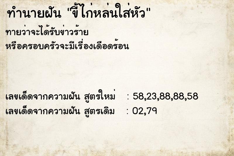 ทำนายฝันทำนายฝันขี้ไก่หล่นใส่หัว