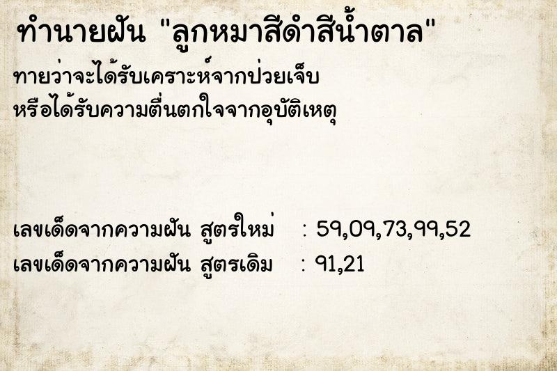 ทำนายฝันลูกหมาสีดำสีน้ำตาล ทำนายฝันทำนายฝันลูกหมาสีดำสีน้ำตาล