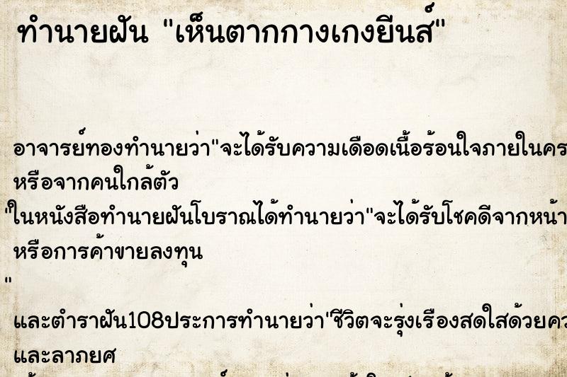 ทำนายฝัน เห็นตากกางเกงยีนส์ ทำนายฝัน เห็นตากกางเกงยีนส์