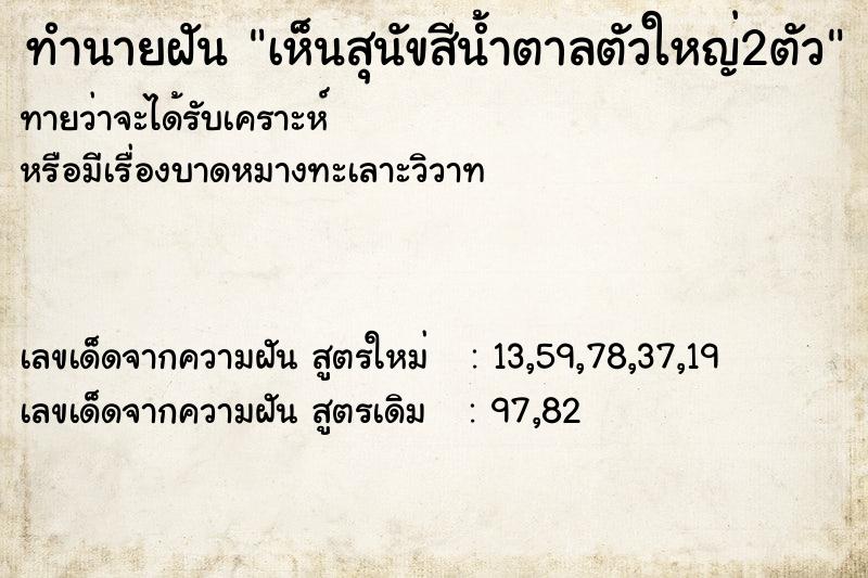 ทำนายฝันเห็นสุนัขสีน้ำตาลตัวใหญ่2ตัว ทำนายฝันทำนายฝันเห็นสุนัขสีน้ำตาลตัวใหญ่2ตัว