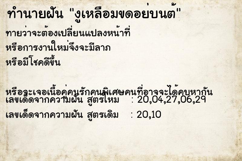 ทำนายฝันงูเหลือมขดอย่บนต้ ทำนายฝันทำนายฝันงูเหลือมขดอย่บนต้