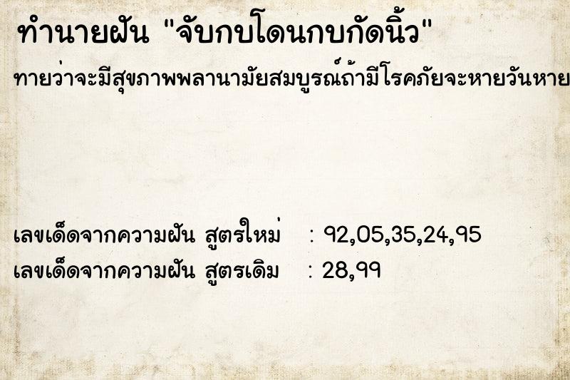 ทำนายฝันจับกบโดนกบกัดนิ้ว ทำนายฝันทำนายฝันจับกบโดนกบกัดนิ้ว