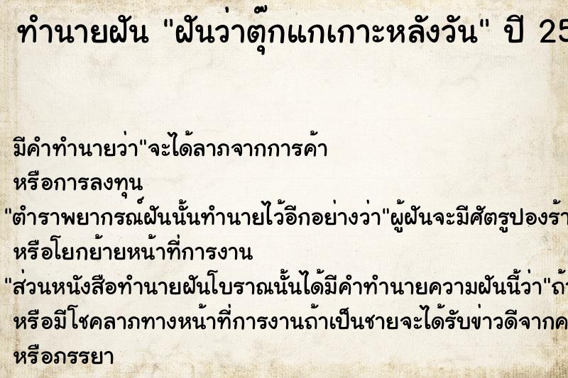 ทำนายฝันฝันว่าตุ๊กแกเกาะหลังวัน ทำนายฝันทำนายฝันฝันว่าตุ๊กแกเกาะหลังวัน