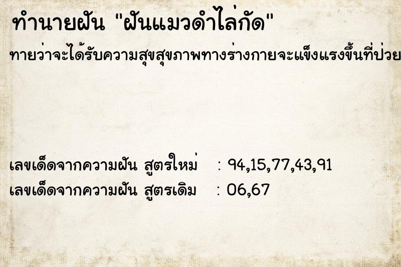 ทำนายฝัน ฝันแมวดำไล่กัด