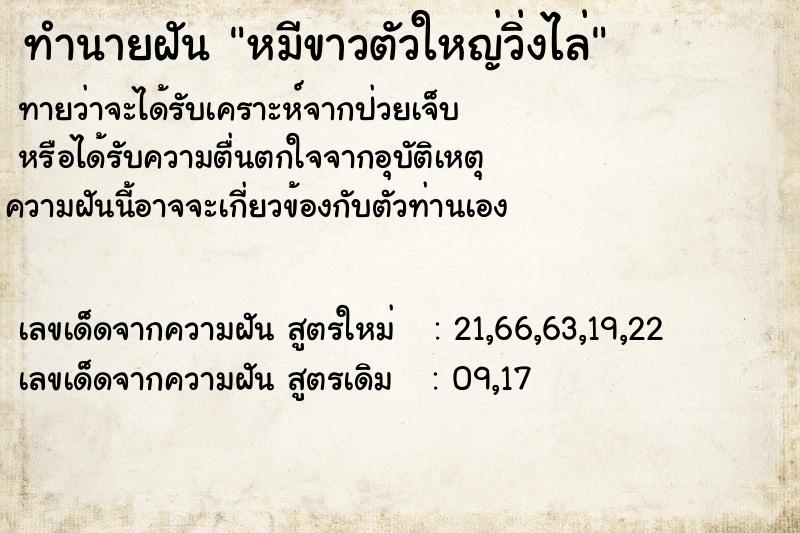 ทำนายฝันทำนายฝันหมีขาวตัวใหญ่วิ่งไล่