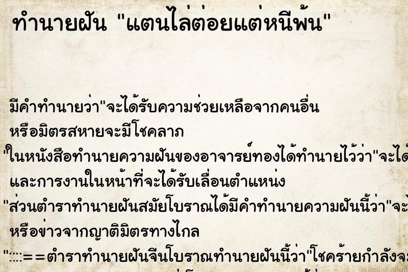 ทำนายฝันทำนายฝันแตนไล่ต่อยแต่หนีพ้น
