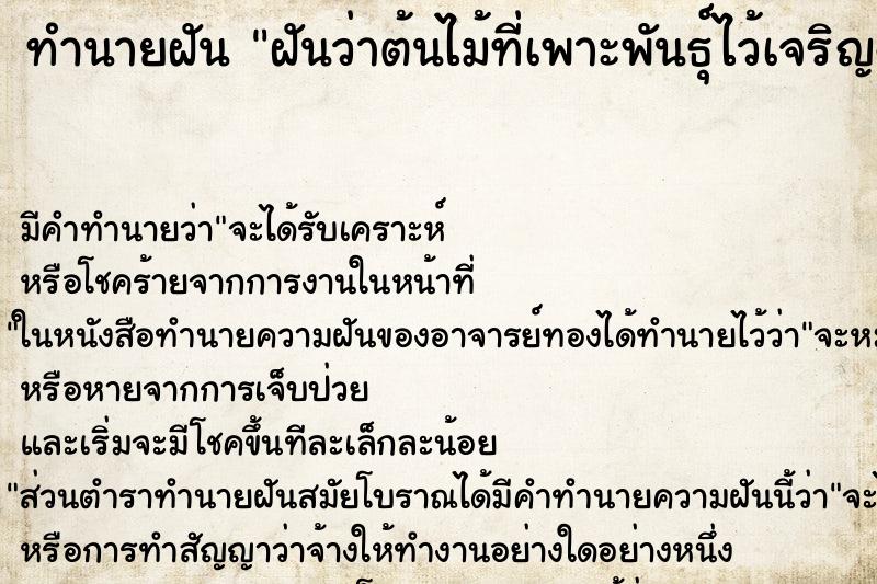 ทำนายฝันทำนายฝันฝันว่าต้นไม้ที่เพาะพันธุ์ไว้เจริญงอกงามดี