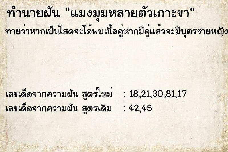 ทำนายฝัน แมงมุมหลายตัวเกาะขา ทำนายฝัน แมงมุมหลายตัวเกาะขา