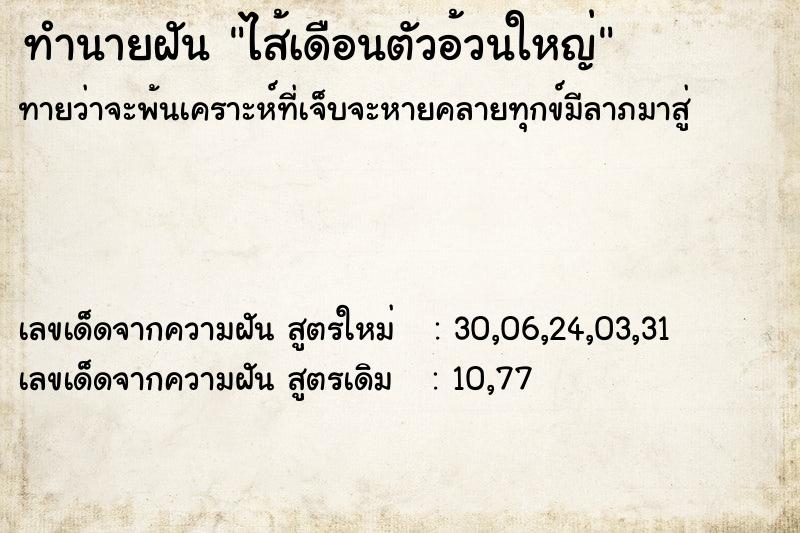ทำนายฝันไส้เดือนตัวอ้วนใหญ่ ทำนายฝันทำนายฝันไส้เดือนตัวอ้วนใหญ่