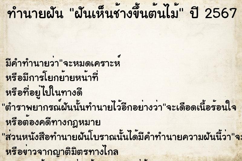 ทำนายฝันฝันเห็นช้างขึ้นต้นไม้ ทำนายฝันทำนายฝันฝันเห็นช้างขึ้นต้นไม้