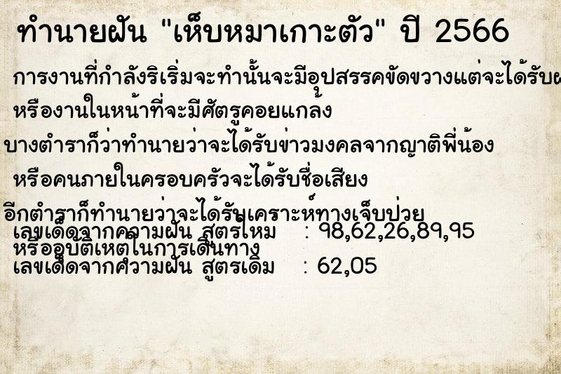 ทำนายฝัน เห็บหมาเกาะตัว ทำนายฝัน เห็บหมาเกาะตัว