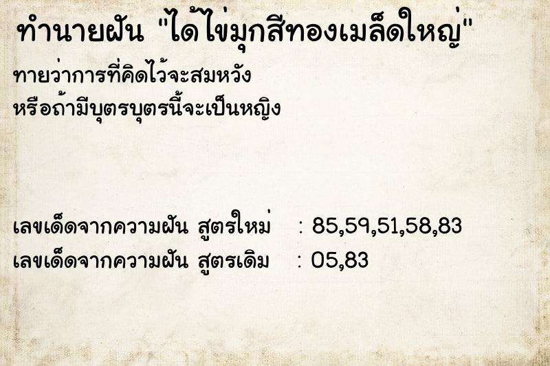 ทำนายฝันทำนายฝันได้ไข่มุกสีทองเมล็ดใหญ่