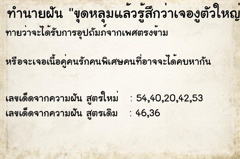 ทำนายฝัน ขุดหลุมแล้วรู้สึกว่าเจองูตัวใหญ่ ทำนายฝัน ขุดหลุมแล้วรู้สึกว่าเจองูตัวใหญ่