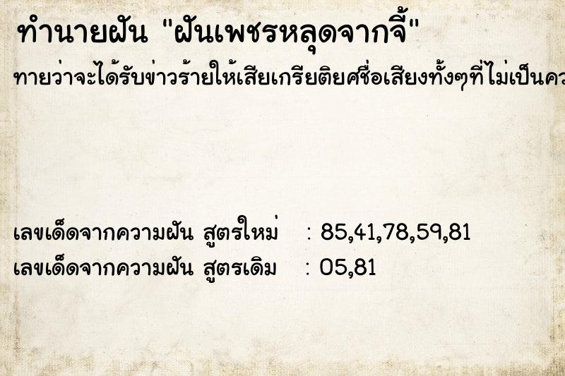 ทำนายฝันฝันเพชรหลุดจากจี้ ทำนายฝันทำนายฝันฝันเพชรหลุดจากจี้