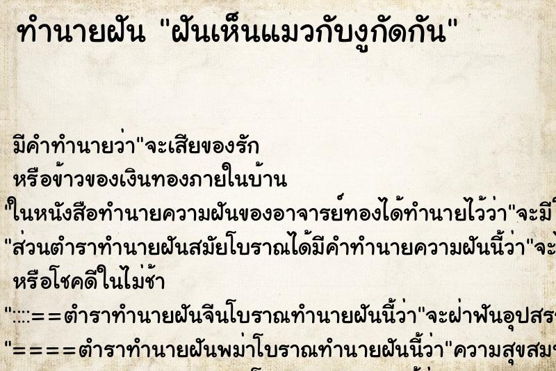 ทำนายฝัน ฝันเห็นแมวกับงูกัดกัน ทำนายฝัน ฝันเห็นแมวกับงูกัดกัน