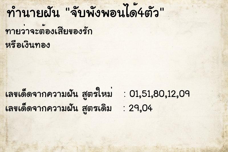 ทำนายฝันทำนายฝันจับพังพอนได้4ตัว