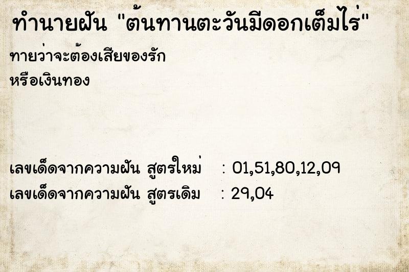 ทำนายฝันทำนายฝันต้นทานตะวันมีดอกเต็มไร่