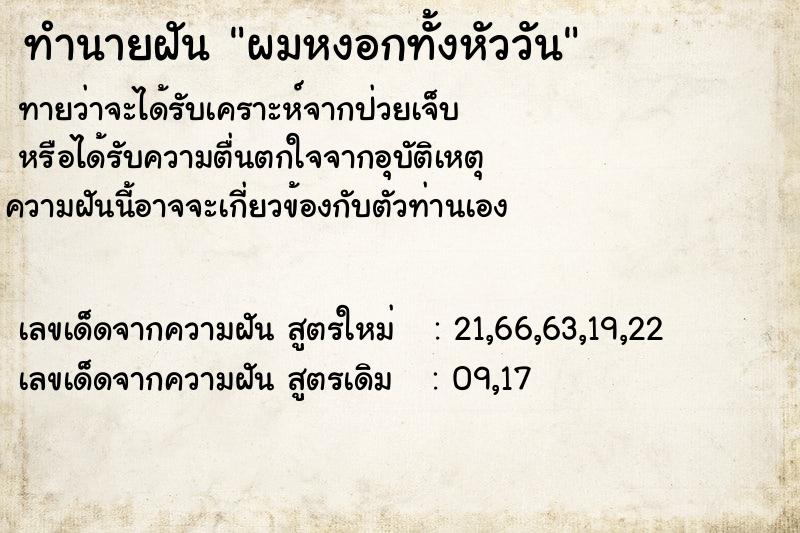 ทำนายฝันผมหงอกทั้งหัววัน ทำนายฝันทำนายฝันผมหงอกทั้งหัววัน