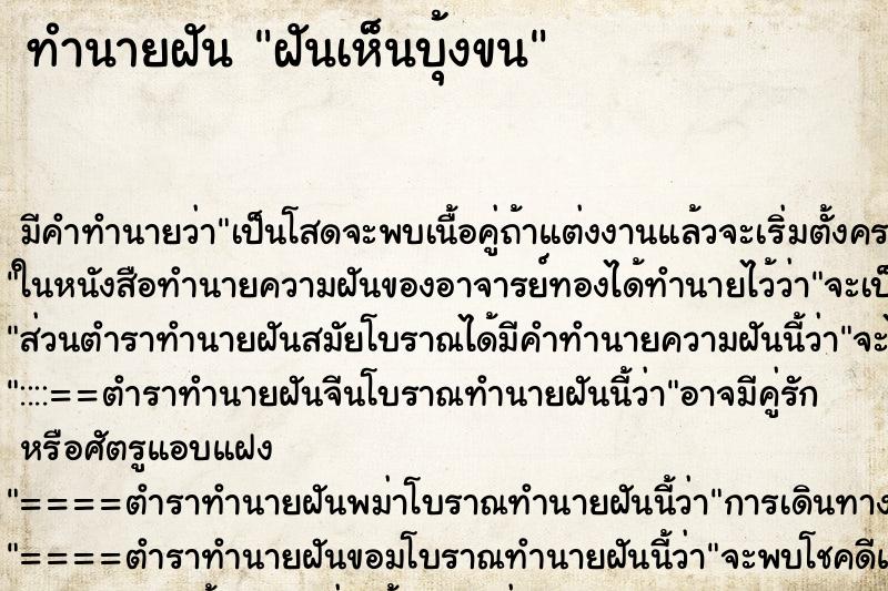 ทำนายฝัน ฝันเห็นบุ้งขน ทำนายฝัน ฝันเห็นบุ้งขน