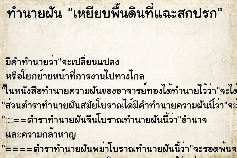 ทำนายฝัน เหยียบพื้นดินที่แฉะสกปรก ทำนายฝัน เหยียบพื้นดินที่แฉะสกปรก