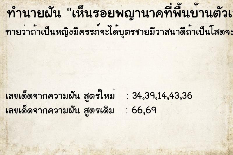 ทำนายฝันทำนายฝันเห็นรอยพญานาคที่พื้นบ้านตัวเอง