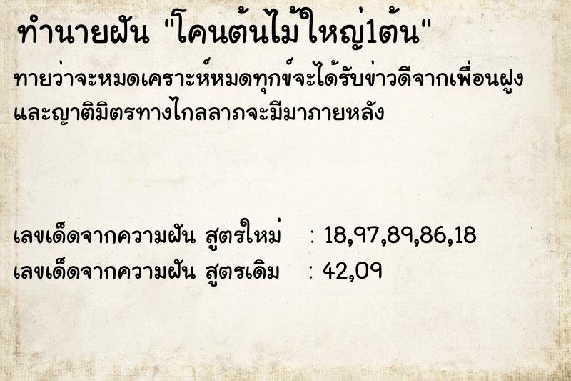 ทำนายฝันโคนต้นไม้ใหญ่1ต้น ทำนายฝันทำนายฝันโคนต้นไม้ใหญ่1ต้น