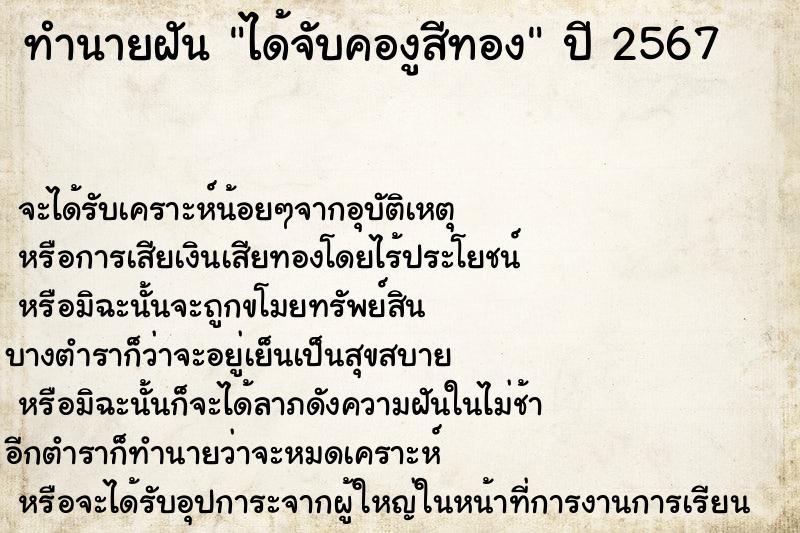 ทำนายฝันได้จับคองูสีทอง ทำนายฝันทำนายฝันได้จับคองูสีทอง