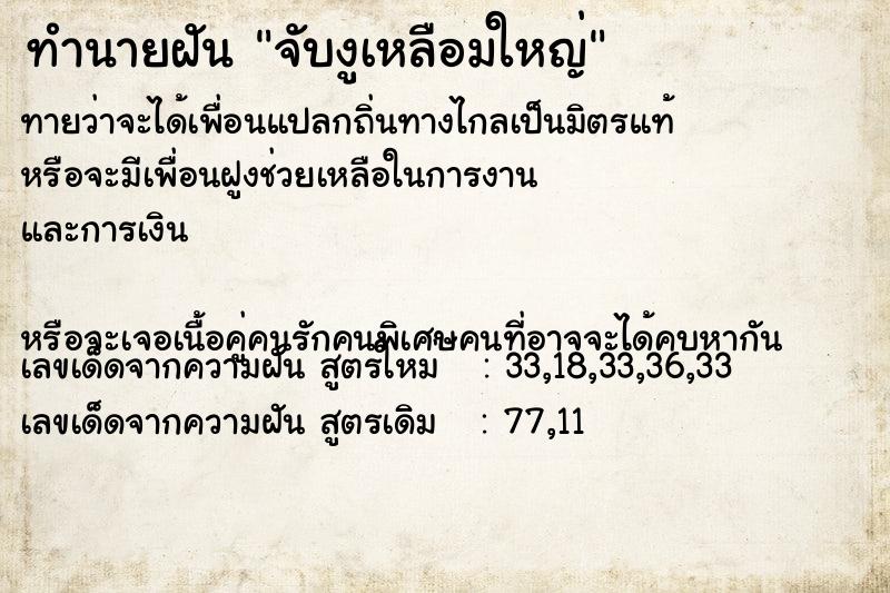 ทำนายฝัน จับงูเหลือมใหญ่ ทำนายฝัน จับงูเหลือมใหญ่
