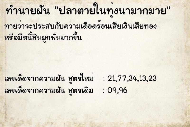 ทำนายฝัน ปลาตายในทุ่งนามากมาย ทำนายฝัน ปลาตายในทุ่งนามากมาย