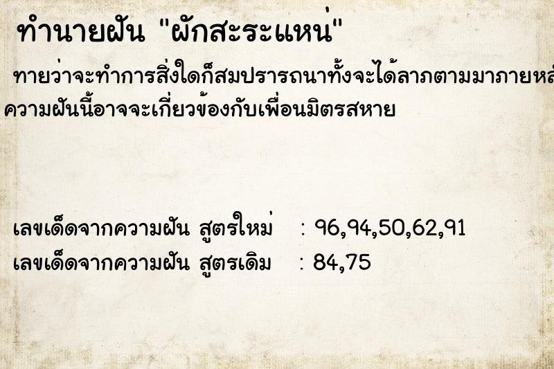ทำนายฝันทำนายฝันผักสะระแหน่