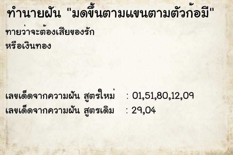 ทำนายฝัน มดขึ้นตามแขนตามตัวก้อมี ทำนายฝัน มดขึ้นตามแขนตามตัวก้อมี