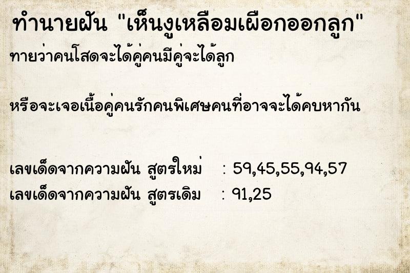 ทำนายฝันเห็นงูเหลือมเผือกออกลูก ทำนายฝันทำนายฝันเห็นงูเหลือมเผือกออกลูก