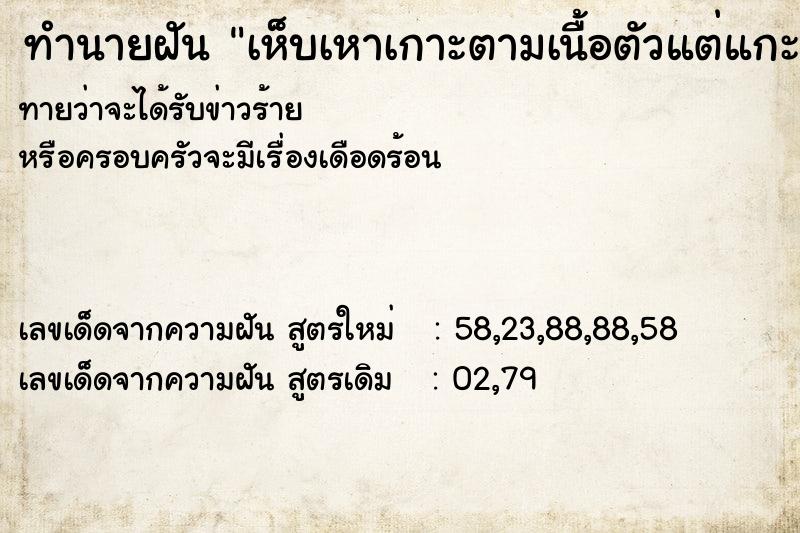 ทำนายฝันทำนายฝันเห็บเหาเกาะตามเนื้อตัวแต่แกะออกได้