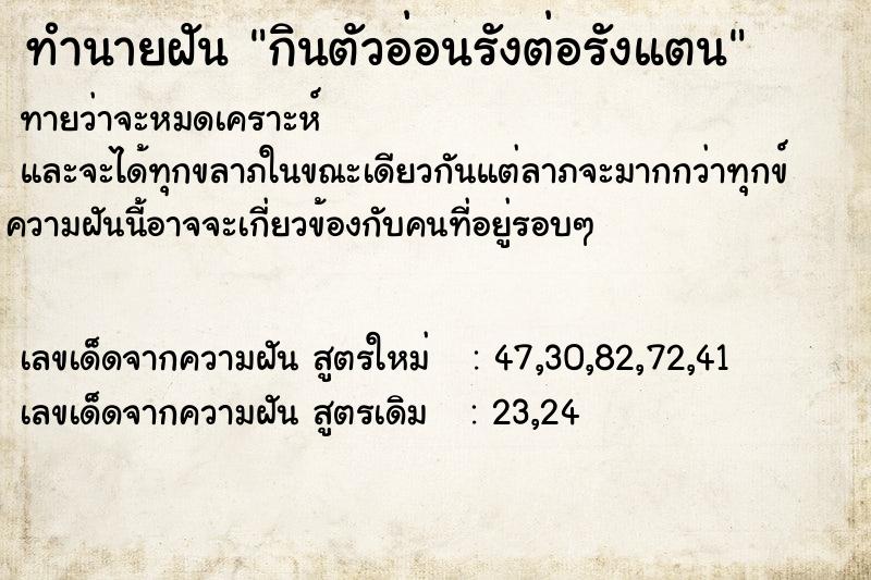 ทำนายฝัน กินตัวอ่อนรังต่อรังแตน ทำนายฝัน กินตัวอ่อนรังต่อรังแตน