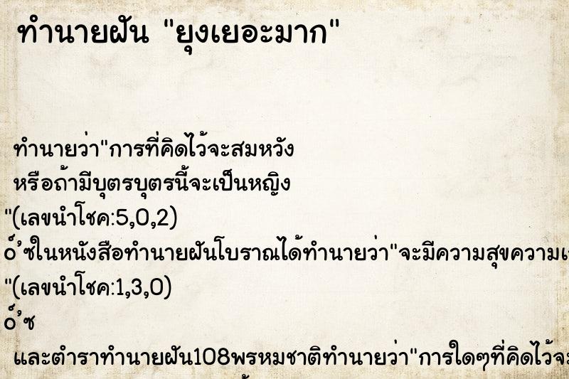ทำนายฝัน ยุงเยอะมาก ทำนายฝัน ยุงเยอะมาก