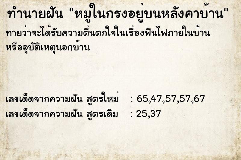 ทำนายฝันทำนายฝันหมูในกรงอยู่บนหลังคาบ้าน
